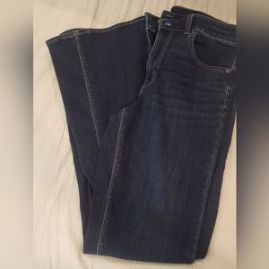 AMERICAN EAGLE WOMEN'S SIZE 12 ARTIST FLARE JEANS